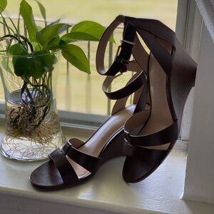 Kelly & Katy DK Brown Heister 10